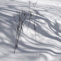 stíny na sněhu