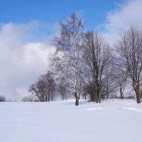 cesta přes kopec