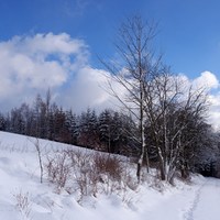 cesta sněhem