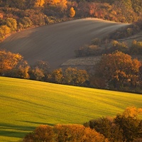 Moravský podzim