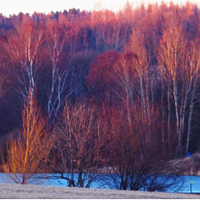 poslední paprsek