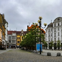 Kuří rynek