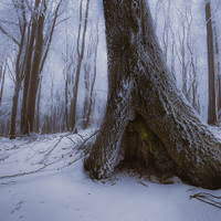 Ľadová krajina 4.