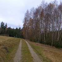 Břízky