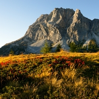 Passo Falzarego