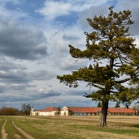 Nový dvůr