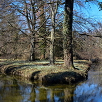 Rozkvetlý ostrůvek