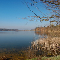 Jarní rybník