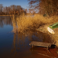 Lodičková