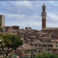 Siena...IV.