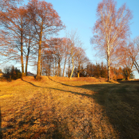 Zlatá hodinka