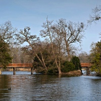 Můstková