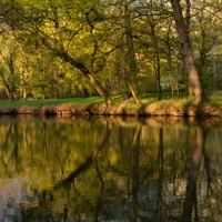 Podvečer u vody