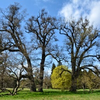 Dubnový park