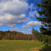 Louka v předjaří