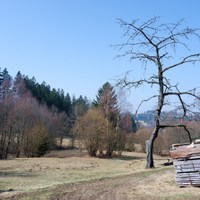 předjaří se nedočkal