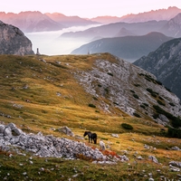 Pastvina v Dolomitech