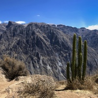 Kaňon Colca