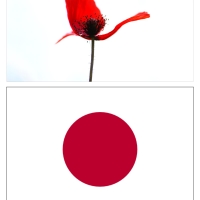 japonsko