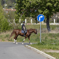 Správným směrem