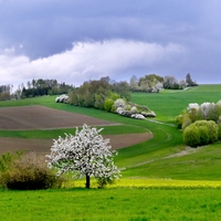 Vysočina u  Okrouhličky