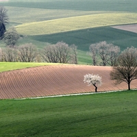 Vysočina u  Okrouhličky