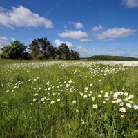 krásky