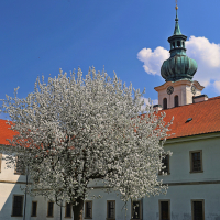 Jaro v klášteře 