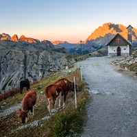 Zrána kolem Tre Cime