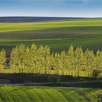 Slovácko.