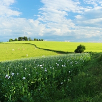 Okolo Kolovče