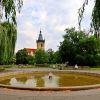 Ráno v pražském parku