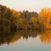 Podzim na rybníce