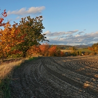 Podvečerní barvy