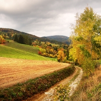 Barevný podzim