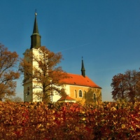 Podzimní vinohrad a kostel svatého Václava