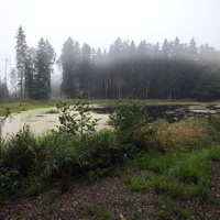 Kolowratův rybník