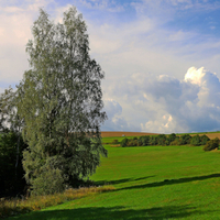 Bouřka na horizontu