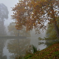 V parku