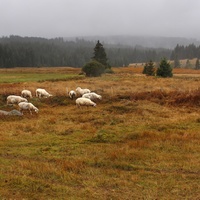 Expedice Šumava