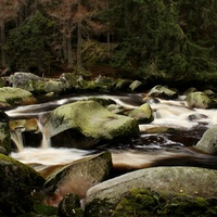 Expedice Šumava