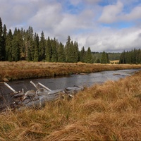 Expedice Šumava