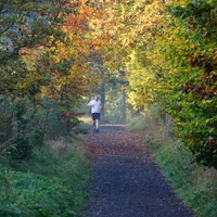 Ranní běh podzimním mlhavým lesem