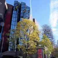 Architektura