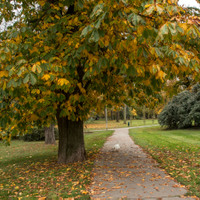 Lázeňský park 