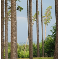 Před bouřkou