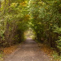 Podzimní tunel