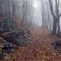 cesta na Luž