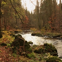 ...na břehu Kamenice...