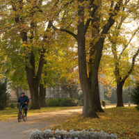 Podzimni park